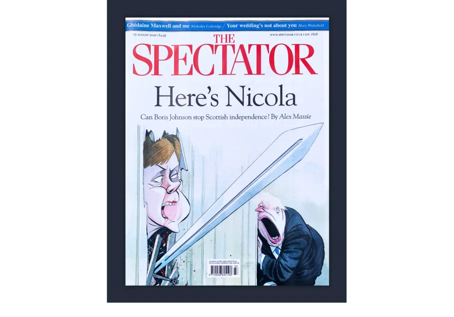 Spectator 3