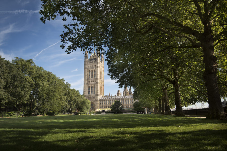 View Of The Palace Of Westminster From Victoria Tower Gardens Day ©Malcolm Reading Consultants  Emily Whitfield Wicks